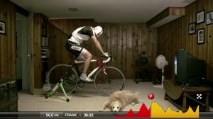 Как подготовиться к велогонке в домашних условиях
