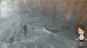 Как и где ловить щуку на жерлицы в декабре? Советы по ловле щуки на жерлицы зимой!