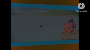 Заставка Сарафан с Эффектами!