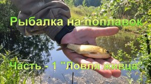 Рыбалка на поплавок. Часть - 1 "Ловля живца".