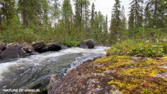 Northern Karelia. Mountain river/ Северная Карелия. Горная река