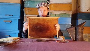 С чего начинается пасека. Основы пчеловодства, обзор инструментов для пасеки и пчеловодства.