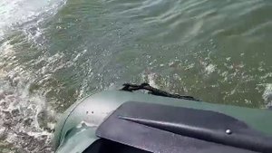 Nissan marine 3,5лс разогнал до 19,5 км/ч