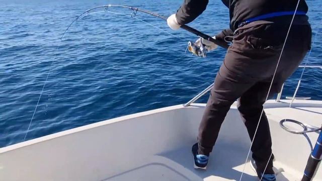 РЫБАЛКА,ТУНЕЦ в Приморье! смотреть онлайн