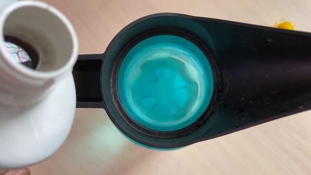 ВЕСЕННИЙ УХОД ЗА ДОМАШНИМИ РАСТЕНИЯМИ