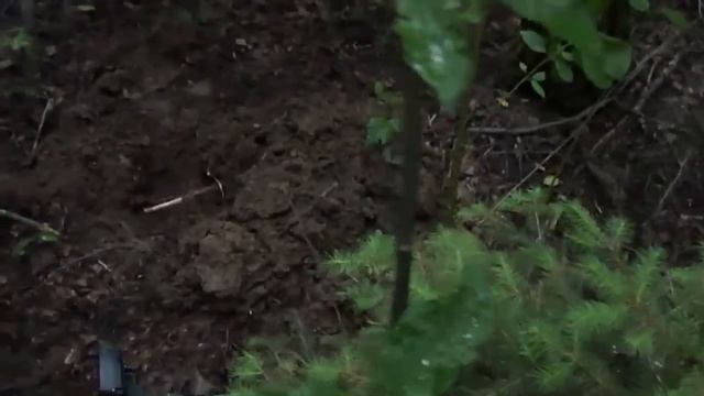 Поиск монет с АКА Сорекс Про / Поиск кладов / Поиск с металлоискателем видео / Поиск кладов / Поход