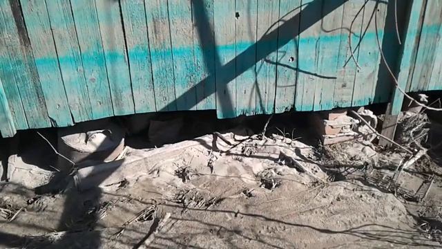 Дачный сезон закрыт. Дача убита!