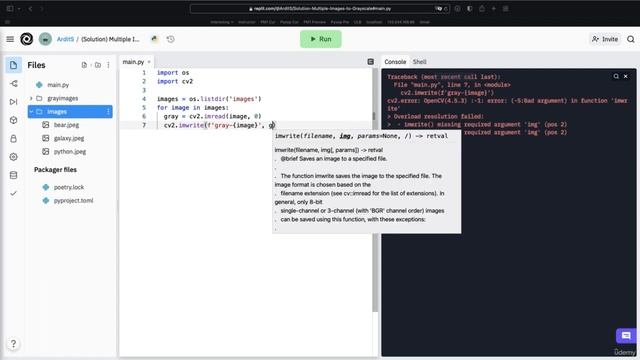 Solution - Convert Multiple Images to Grayscale | Automate Everything with Python