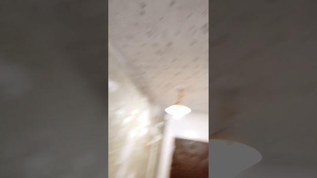 Грунтовка жидкая потолочная и стену зашпакливал показываю свои инструменты чем я работаю смотреть онлайн