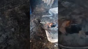 Коптит мясо конина