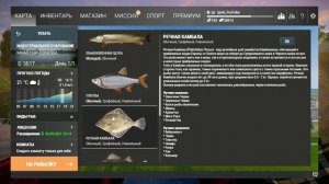 Fishing Planet: Канал Гент-Тернёзен -  Речная Камбала