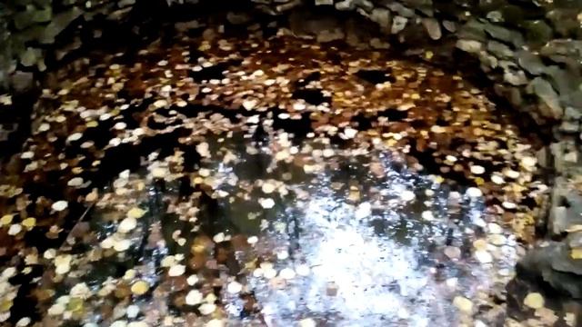 Голубая линия. Немецкий колодец. День 7-й. Часть 1-я.