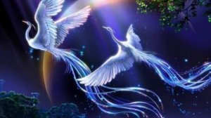 ПОЗДРАВЛЯЮ С ДНЕМ РОЖДЕНИЯ СВОЮ ЛЮБИМУЮ ЖЕНУ!