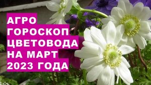 Агрогороскоп цветовода на март 2023 года. Агрогороскоп квітникаря на березень 2023 року