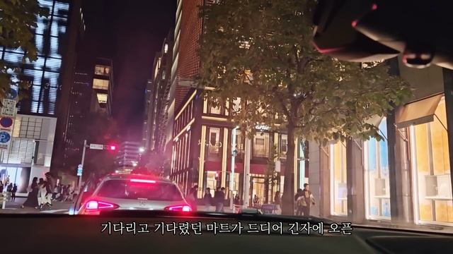 일본 도쿄 브이로그 l 마트 장보고 편의점&드럭스토어 쇼핑, 타워맨션 스카이라운지, 우에노 카페, 긴자 마트 추천