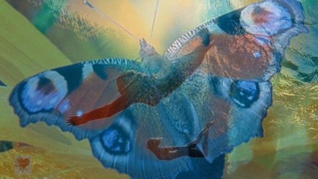 Сбудутся мечты. Олесь Счастливый. смотреть онлайн