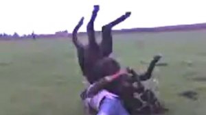 Осла на проиб)))))