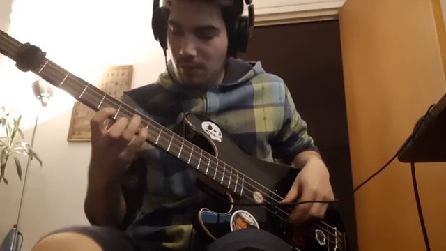 Lucia - Perfect Life (bass play-along) (BONUS CAT!) смотреть онлайн