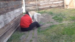 Пьяная тёт Наташа
