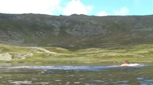 пупы