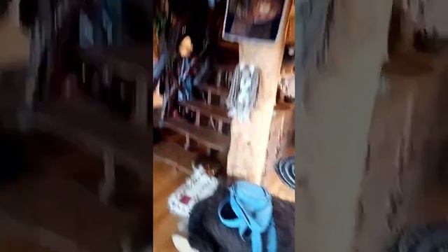 Чемал/Горный Алтай смотреть онлайн