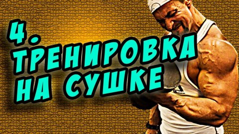 моя тренировка на сушке. Моя сушка отчет 3й недели