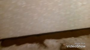 Сухая стяжка своими руками из керамзита