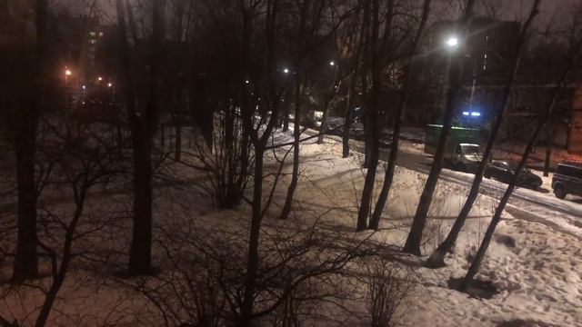 Зимой ночью поют птицы 🦢. Чудо природы! Санкт-Петербург. Февраль 2022! Начинают около 4-х часов! смотреть онлайн