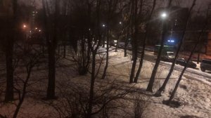 Зимой ночью поют птицы 🦢. Чудо природы! Санкт-Петербург. Февраль 2022! Начинают около 4-х часов!