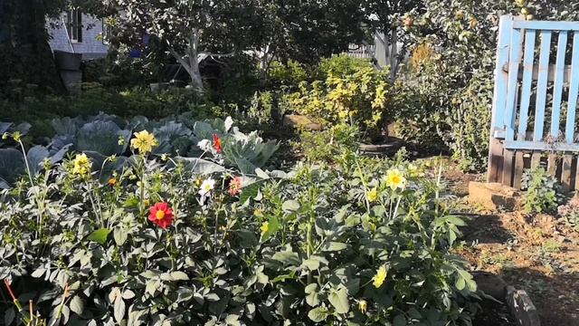 Съездила на грязи. В Хомутинино. Класс. смотреть онлайн