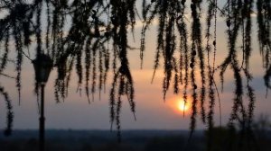 МОЛИТВА ОПТИНСКИХ СТАРЦЕВ.