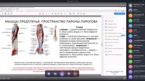[7] лекция по анатомии 19.12 (мышцы головы, шеи, конечностей)