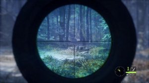 Охотимся на рысь в Сибири ● hunting simulator ● Обзор местности