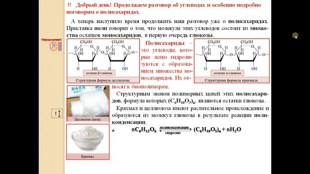ХИМИЯ-10. БУ. ПАРАГРАФ 15-2. Дисахариды и полисахариды. смотреть онлайн