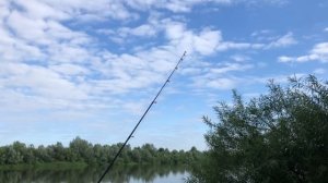 Наловил ЛЕЩА на ОКЕ / мощные поклёвки ЛЕЩА рыбалка на фидер в ИЮЛЕ