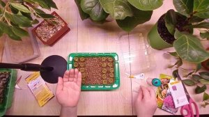 Держись, нетипичный фермер))) Я проверю, как это работает на самом деле)