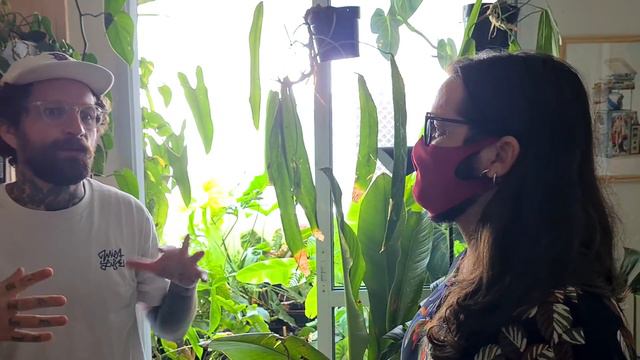 Conheça as PLANTAS do rei da URBAN JUNGLE - Tour no Apartamento Floresta смотреть онлайн