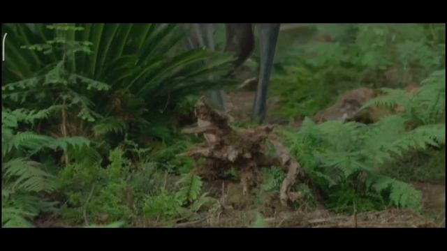 Спасибо, что вымер смотреть онлайн