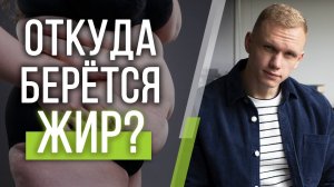 Что делать с жиром? /  Вред жира для организма