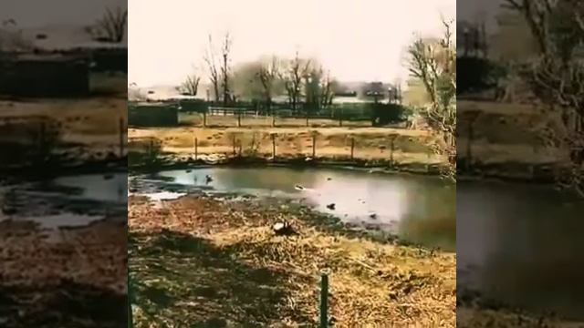 VID-20230321-WA0005~2.mp4 смотреть онлайн