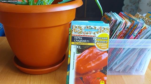 КРУПНОПЛОДНЫЕ СОРТА И ГИБРИДЫ ПЕРЦА. ОБЗОР СЕМЯН.
