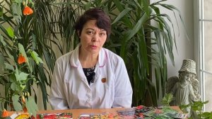 Капия. Что это за перец такой? Школа продвинутого садовода