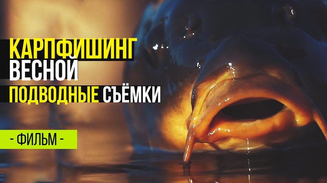 Карпфишинг весной. Подводная съемка. Ловля карпа на бойлы