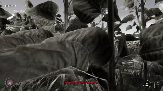 The Temple Ruins - Finding The Botanist And The Executioner! | DIE YOUNG Ep. 5 смотреть онлайн