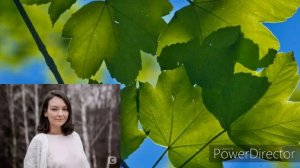 У каждого свой обман, премьера, 2020