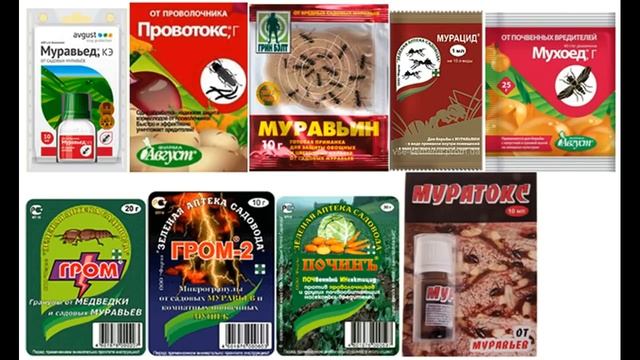 КАК ИЗБАВИТЬСЯ ОТ МУРАВЬЕВ НА ОГОРОДЕ?! смотреть онлайн