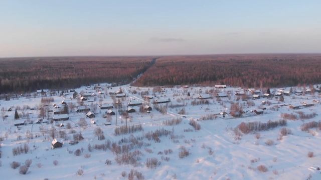 Застенчивая Шиченга