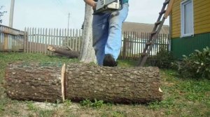 Бензопила Stihl ms 180 в работе