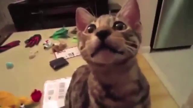 Q7 tv - Буратино смотреть онлайн