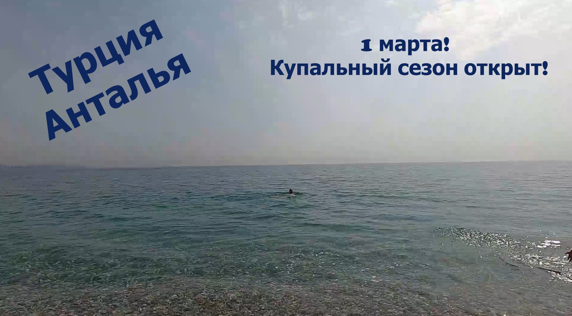 Жизнь на берегу моря. Море жизни 2023. Море жизни. Океан под водой с рыбами. Разделенное море.